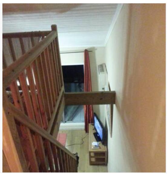 Les Aigrettes St Gilles Les Bains Apartamento Saint-Paul Exterior foto